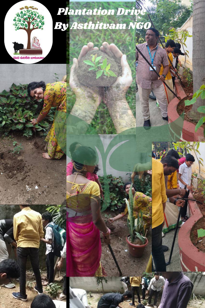 C:\Users\PC\Desktop\Plantation Drive PVN 26th Sept 2025.jpg