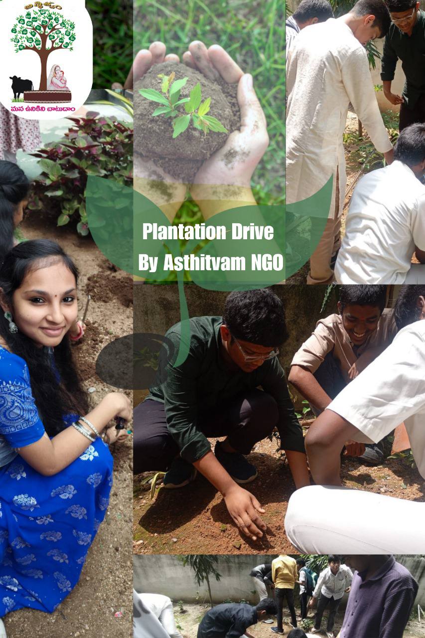 C:\Users\PC\Desktop\PVN Plantatin drive 26 Sept 25.jpg